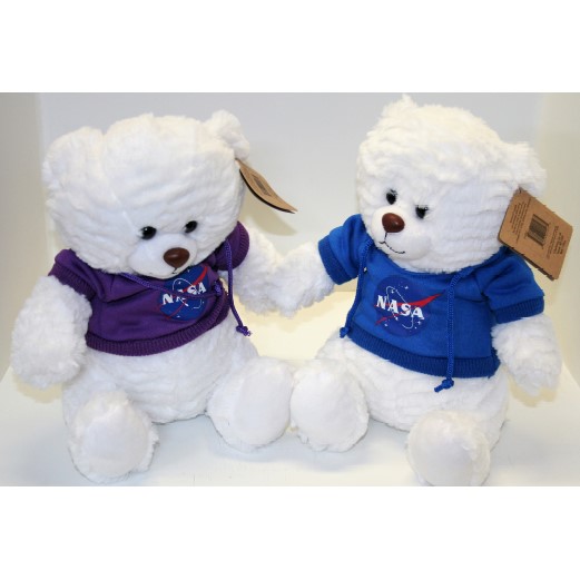 NASA Space Bear